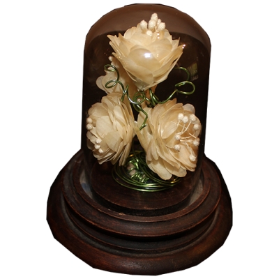 Redoma de escama de paixe