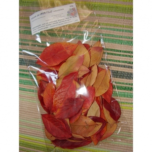 Saco de folha de mirtilo para infusão, 20g